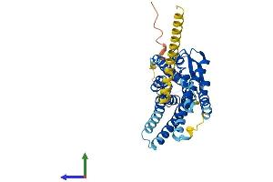 Protein Structure (PS) image for Angiotensin II Receptor, Type 2 (AGTR2) (AA 1-363) protein (His tag) (ABIN7552012)