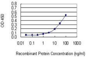 Detection limit for recombinant GST tagged CUL3 is 1 ng/ml as a capture antibody. (Cullin 3 抗体  (AA 301-400))