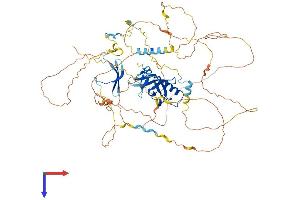 AlphaFold protein structure predicition of Mouse Recombinant Pwwp2a Protein, UniprotID Q69Z61 (PWWP2A Protein (AA 1-730) (His tag))