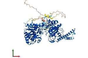 Protein Structure (PS) image for Glycogen Synthase 2, Liver (GYS2) (AA 1-703) protein (His tag) (ABIN7548141)