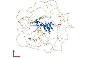 Protein Structure (PS) image for AF4/FMR2 Family, Member 4 (AFF4) (AA 1-1160) protein (His tag) (ABIN7565061)