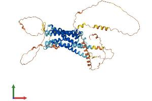 AlphaFold protein structure predicition of Human Recombinant ADRA1D Protein, UniprotID P25100