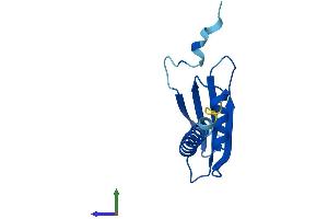Protein Structure (PS) image for Polymerase (RNA) II (DNA Directed) Polypeptide J3 (POLR2J3) (AA 1-115) protein (His tag) (ABIN7551551)