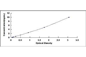 Typical standard curve (MMP16 ELISA 试剂盒)