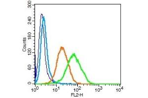Human U937 cells probed with CD171 Polyclonal Antibody, Unconjugated  (green) at 1:100 for 30 minutes followed by a PE conjugated secondary antibody compared to unstained cells (blue), secondary only (light blue), and isotype control (orange). (L1CAM 抗体  (AA 1101-1257))