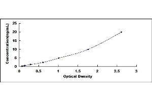 Typical standard curve (XPO5 ELISA 试剂盒)