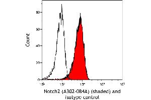 Flow Cytometry (FACS) image for anti-Notch 2 (NOTCH2) (AA 2421-2471) antibody (ABIN7454805)