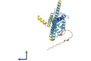 Protein Structure (PS) image for Calcium Homeostasis Modulator 1 (CALHM1) (AA 1-346) protein (His tag) (ABIN7552797)
