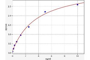 Typical standard curve (RRM2B ELISA 试剂盒)