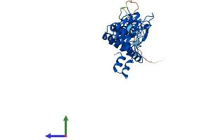 Protein Structure (PS) image for Ankyrin Repeat and SOCS Box Containing 9 (ASB9) (AA 1-290) protein (His tag) (ABIN7560157)