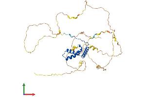 Protein Structure (PS) image for SRY (Sex Determining Region Y)-Box 17 (SOX17) (AA 1-419) protein (His tag) (ABIN7557710)
