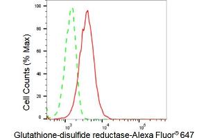 Flow cytometric analysis of Glutathione-disulfide reductase expression in HeLa cells using Glutathione-disulfide reductase antibody (ABIN7798754), 1:2,000). (Recombinant Glutathione Reductase 抗体)