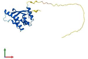 Protein Structure (PS) image for Sorting Nexin 10 (SNX10) (AA 1-201) protein (His tag) (ABIN7560684)