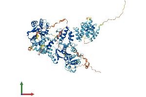AlphaFold protein structure predicition of Human Recombinant EXD3 Protein, UniprotID Q8N9H8 (EXD3 Protein (AA 1-876) (His tag))