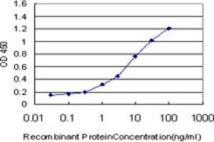 Detection limit for recombinant GST tagged NMI is approximately 0. (NMI 抗体  (AA 1-100))