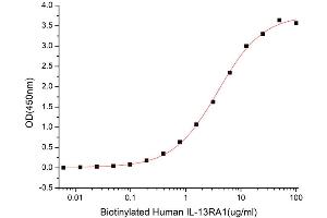 Interleukin 13 Receptor, alpha 2 (IL13RA2) (AA 27-343) (Active) protein (His tag)