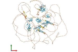 Protein Structure (PS) image for PR Domain Containing 16 (PRDM16) (AA 1-1276) protein (His tag) (ABIN7555081)