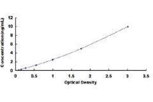 Superoxide Dismutase 2, Mitochondrial (SOD2) ELISA Kit