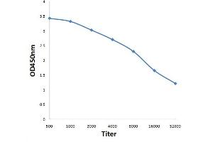 Antigen: 0. (APOBR 抗体  (AA 1001-1088))