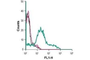 Cell surface detection of P2RX1 in live intact human MEG-01 megakaryoblastic leukemia cells: (black line) Cells. (P2RX1 抗体  (Extracellular) (FITC))