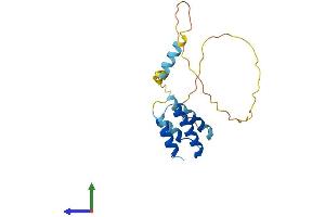 AlphaFold protein structure predicition of Human Recombinant CT45A8 Protein, UniprotID P0DMV1