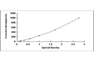 Typical standard curve (VEGFA ELISA 试剂盒)