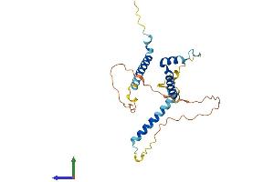 Protein Structure (PS) image for Gem (Nuclear Organelle) Associated Protein 8 (GEMIN8) (AA 1-238) protein (His tag) (ABIN7558633)