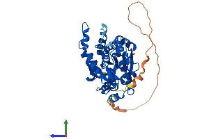 Protein Structure (PS) image for Glycosyltransferase-Like Domain Containing 1 (GTDC1) (AA 1-445) protein (His tag) (ABIN7558949)