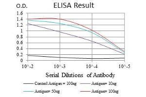 Black line: Control Antigen (100 ng), Purple line: Antigen(10 ng), Blue line: Antigen (50 ng), Red line: Antigen (100 ng), (NG2 抗体  (AA 2247-2308))