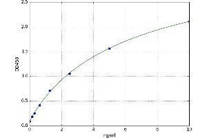 A typical standard curve (SUMO1 ELISA 试剂盒)