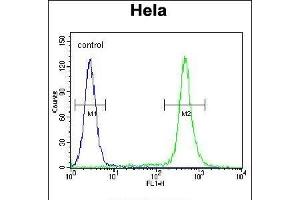 Flow Cytometry (FACS) image for anti-Chromosome 18 Open Reading Frame 8 (C18orf8) (AA 34-66), (N-Term) antibody (ABIN655711)