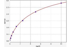Typical standard curve (NR2C1 ELISA 试剂盒)