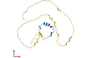 Protein Structure (PS) image for Cbp/p300-Interacting Transactivator, with Glu/Asp-Rich Carboxy-terminal Domain, 4 (CITED4) (AA 1-184) protein (His tag) (ABIN7546581)