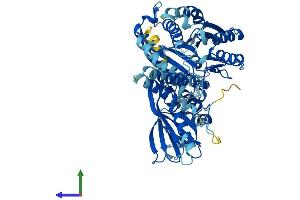 Protein Structure (PS) image for SAC1 Suppressor of Actin Mutations 1-Like (SACM1L) (AA 1-587) protein (His tag) (ABIN7551659)