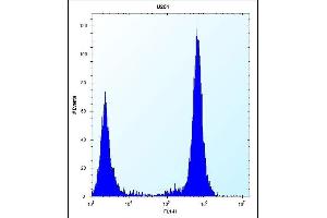 TLR4 Antibody (Center) (ABIN653638 and ABIN2842986) flow cytometric analysis of  cells (right histogram) compared to a negative control cell (left histogram). (TLR4 抗体  (AA 669-698))