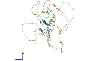 Protein Structure (PS) image for Insulinoma-Associated 2 (INSM2) (AA 1-566) protein (His tag) (ABIN7548581)