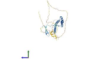 Protein Structure (PS) image for Ventral Anterior Homeobox 1 (VAX1) (AA 1-334) protein (His tag) (ABIN7545096)