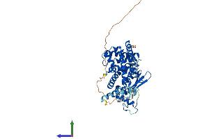 AlphaFold protein structure predicition of Human Recombinant NR1I2 Protein, UniprotID O75469