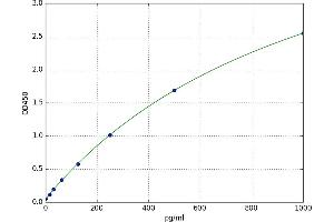 CD97 (CD97) ELISA Kit