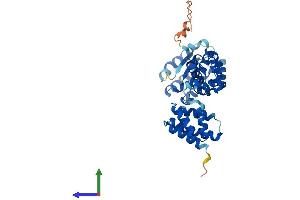 Protein Structure (PS) image for Replication Factor C (Activator 1) 2, 40kDa (RFC2) (AA 1-349) protein (His tag) (ABIN7556280)