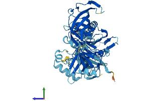 Protein Structure (PS) image for Eukaryotic Translation Elongation Factor 1 alpha 1 (EEF1A1) (AA 1-462) protein (His tag) (ABIN7547222)