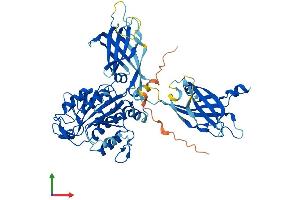 Protein Structure (PS) image for Copine VII (CPNE7) (AA 1-557) protein (His tag) (ABIN7556954)