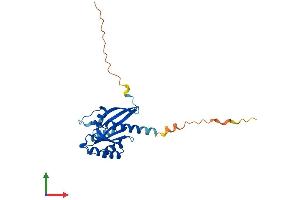 Protein Structure (PS) image for RAB3C, Member RAS Oncogene Family (Rab3c) (AA 1-227) protein (His tag) (ABIN7556617)