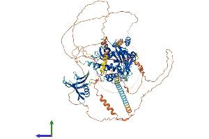 Protein Structure (PS) image for Ubiquitin Specific Peptidase 37 (USP37) (AA 1-979) protein (His tag) (ABIN7555896)