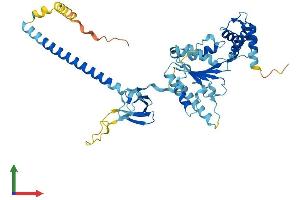 Protein Structure (PS) image for Proteasome (Prosome, Macropain) 26S Subunit, ATPase, 3 (PSMC3) (AA 1-442) protein (His tag) (ABIN7562649)