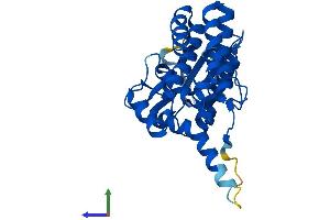 AlphaFold protein structure predicition of Human Recombinant FN3K Protein, UniprotID Q9H479