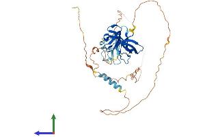 Protein Structure (PS) image for SH3 and Cysteine Rich Domain (STAC) (AA 1-402) protein (His tag) (ABIN7546476)