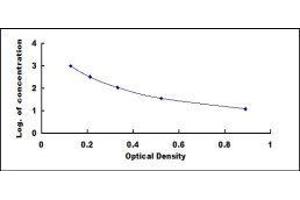 ELISA image for Parathyroid Hormone (PTH) ELISA Kit (ABIN415023)