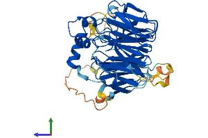 Protein Structure (PS) image for WD Repeat and SOCS Box Containing 2 (WSB2) (AA 1-404) protein (His tag) (ABIN7545154)
