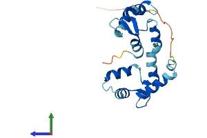 AlphaFold protein structure predicition of Human Recombinant MYL7 Protein, UniprotID Q01449 (MYL7 Protein (AA 1-175) (His tag))